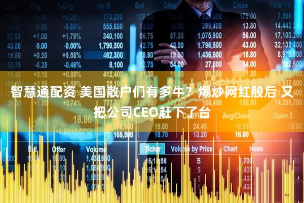智慧通配资 美国散户们有多牛？爆炒网红股后 又把公司CEO赶下了台