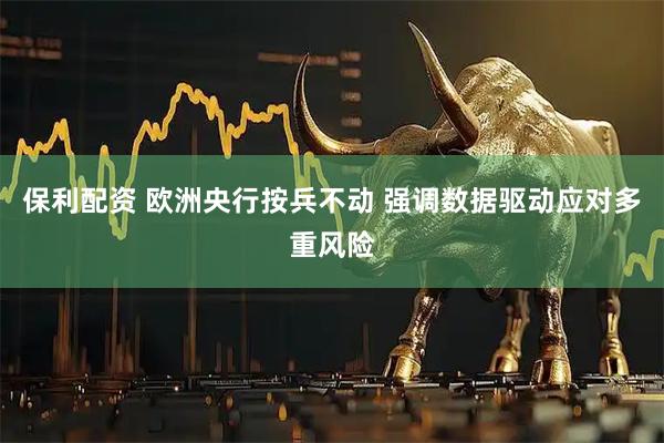 保利配资 欧洲央行按兵不动 强调数据驱动应对多重风险